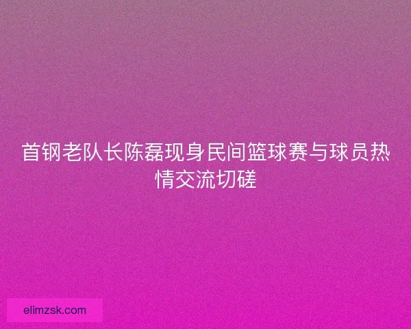 首钢老队长陈磊现身民间篮球赛与球员热情交流切磋